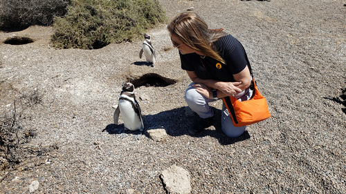 Renee likes Penguins